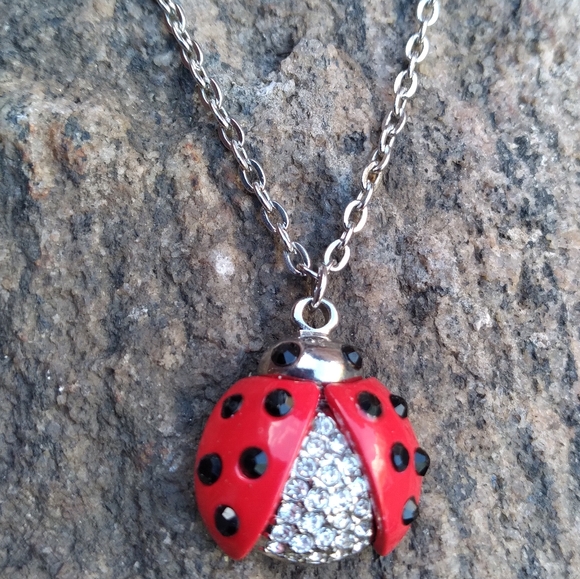 Jewelry - Red Ladybug Pendant Necklace | Red Silver Necklace Lengh 16" To 18 Inches
